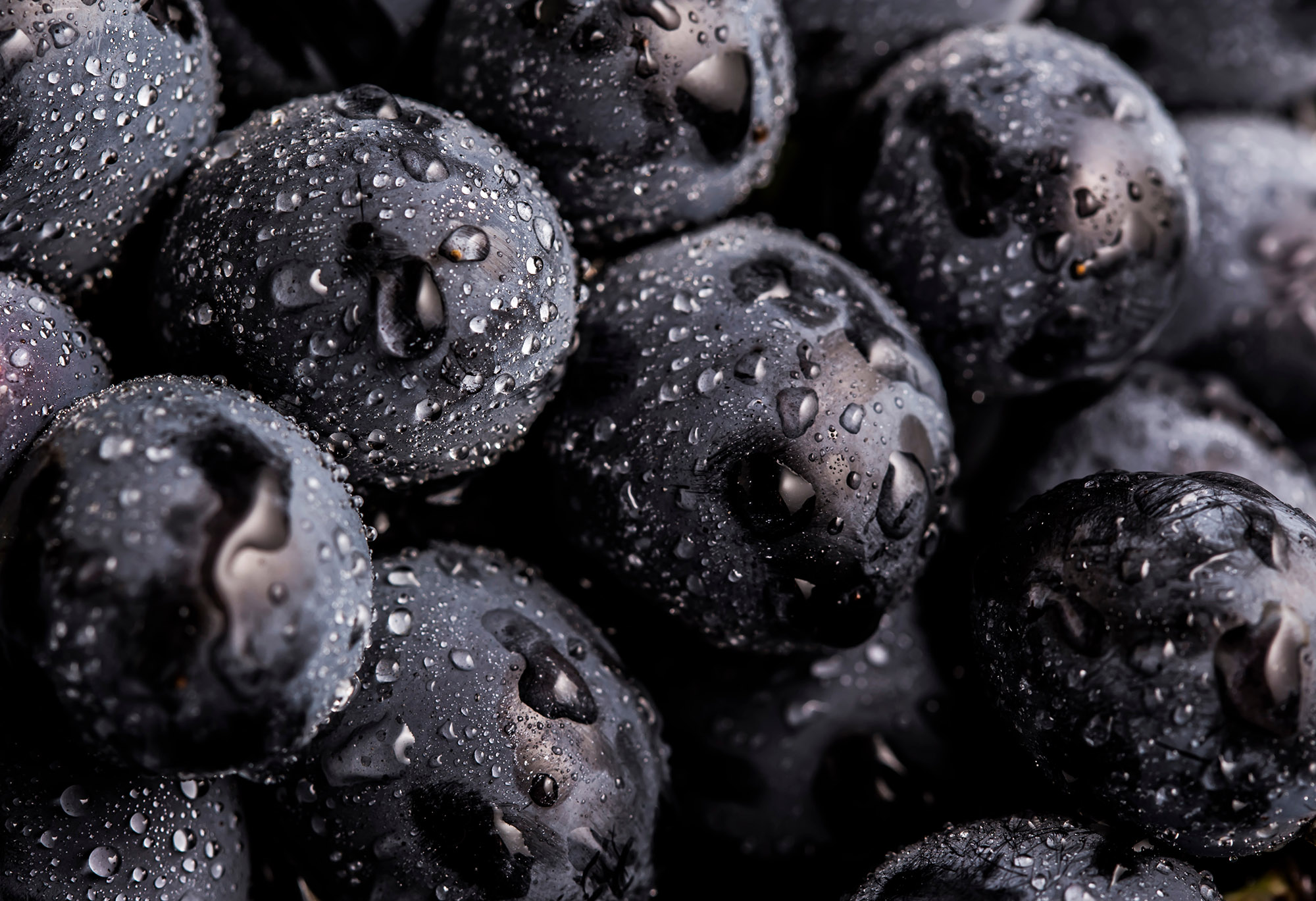 Closeup , dark bunch of grape